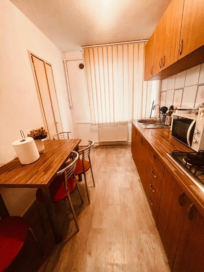 Ultracentral Big Apartment - Near The Opera Square P17 Timişoara Extérieur photo