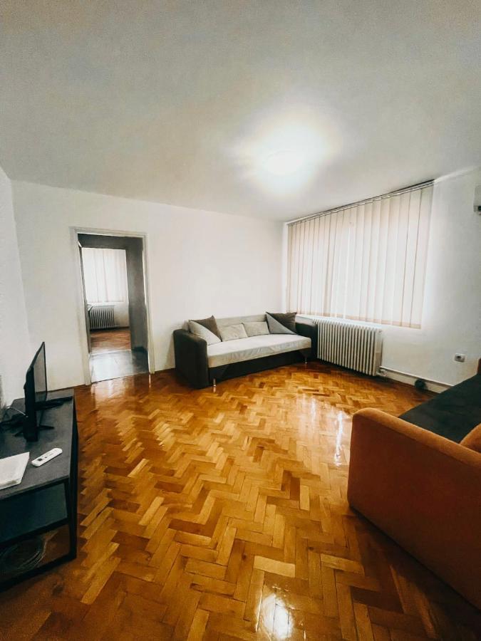 Ultracentral Big Apartment - Near The Opera Square P17 Timişoara Extérieur photo