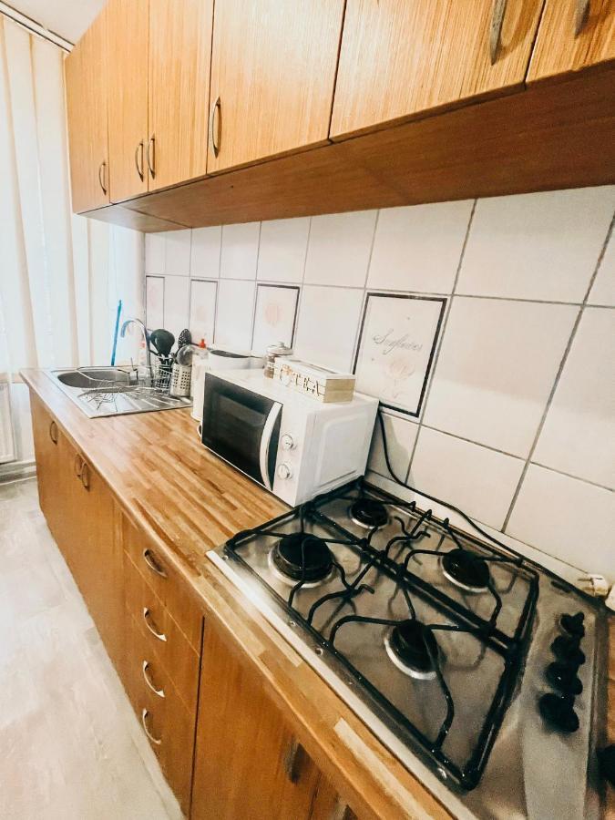 Ultracentral Big Apartment - Near The Opera Square P17 Timişoara Extérieur photo