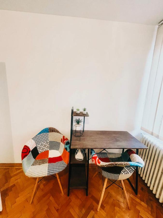 Ultracentral Big Apartment - Near The Opera Square P17 Timişoara Extérieur photo