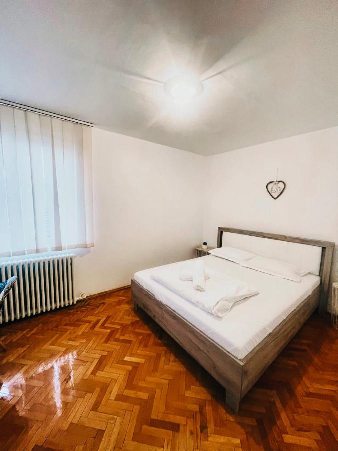 Ultracentral Big Apartment - Near The Opera Square P17 Timişoara Extérieur photo