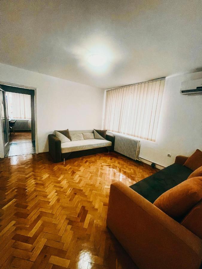 Ultracentral Big Apartment - Near The Opera Square P17 Timişoara Extérieur photo