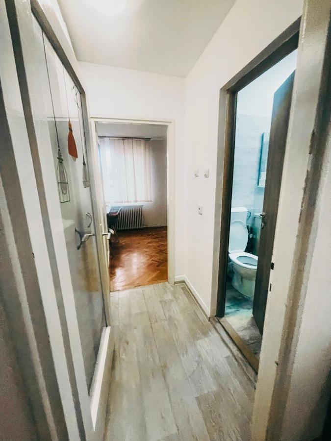 Ultracentral Big Apartment - Near The Opera Square P17 Timişoara Extérieur photo
